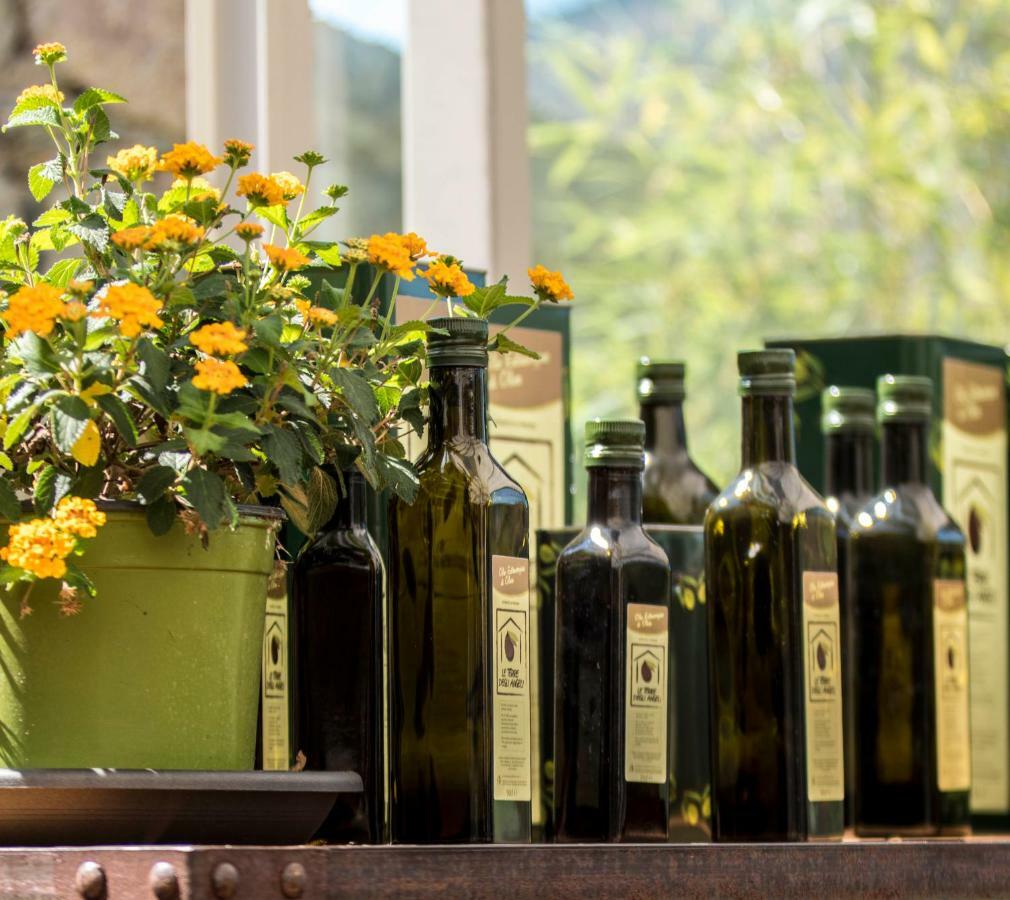 Agriturismo Terre Degli Angeli ปิเอตราลิกูเร ภายนอก รูปภาพ